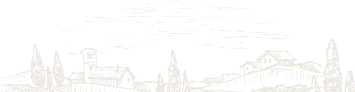 contact-one-shape-1