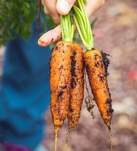 healthy-food-one-1