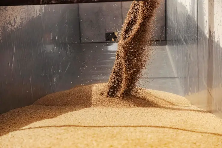 processing-grains