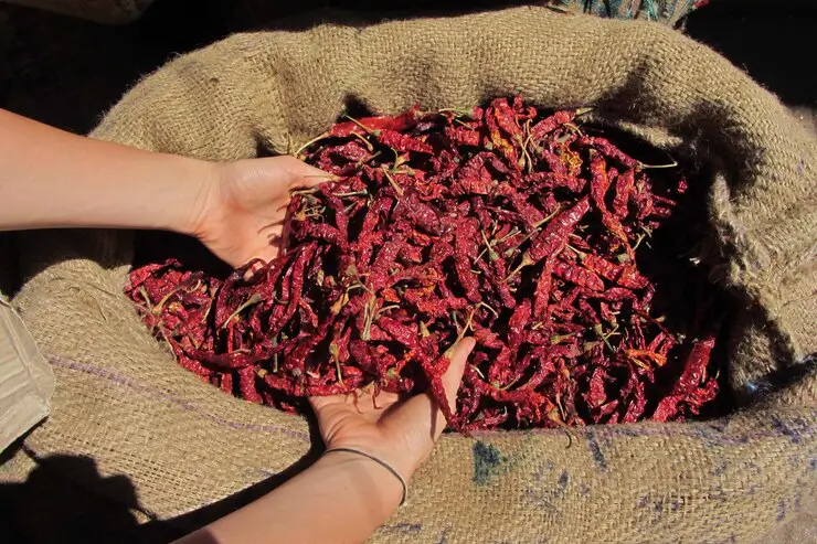 processing-spices