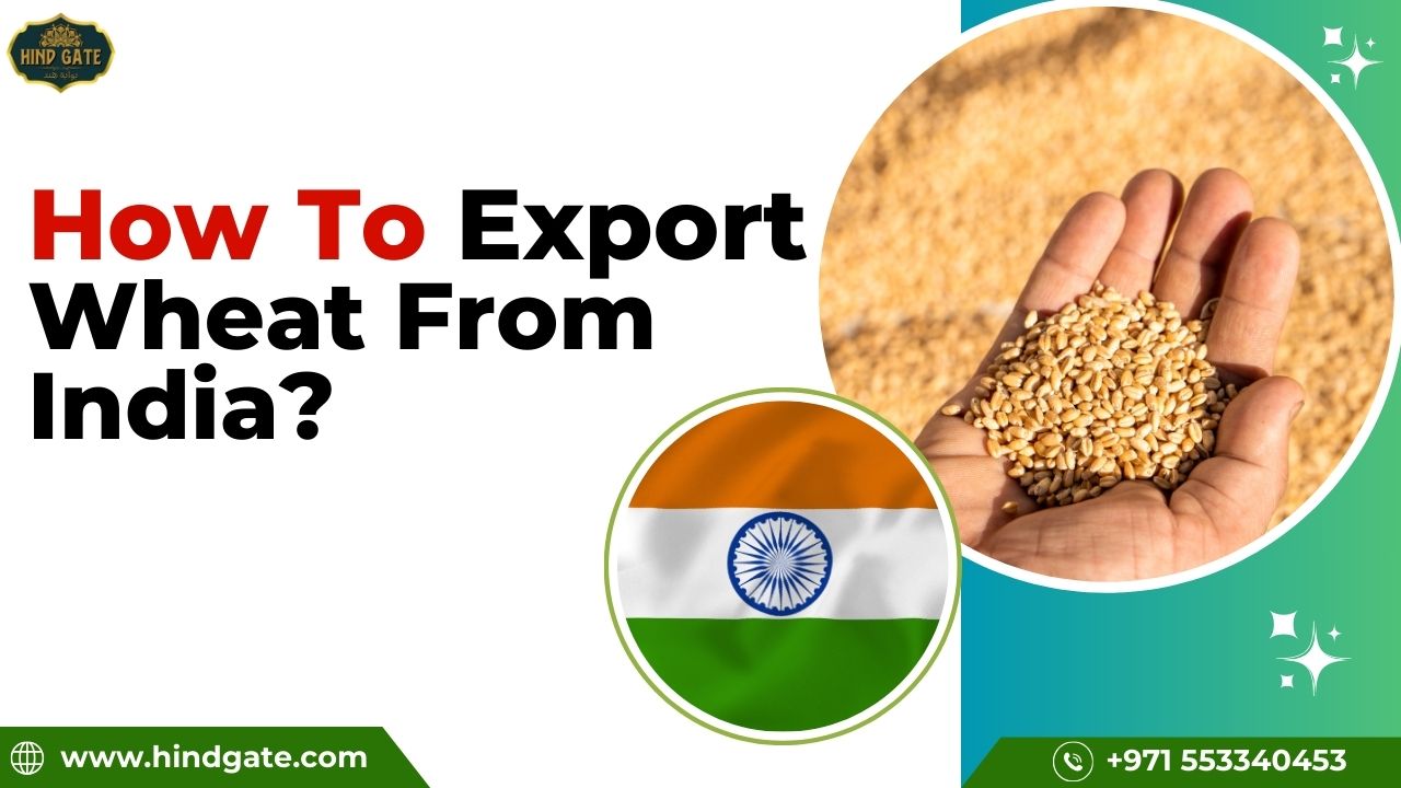 How to Export Wheat From India? A Complete Guide