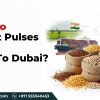 Image showing sacks of various pulses with a cargo ship, airplane, and skyline representing Dubai, symbolizing the export of pulses from India to Dubai.