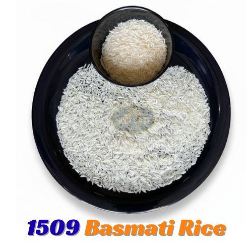 1509 basmati rice long slender grains photo