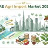 UAE agricultural import market illustration with Dubai skyline, rice, spices, tea, and global trade elements.